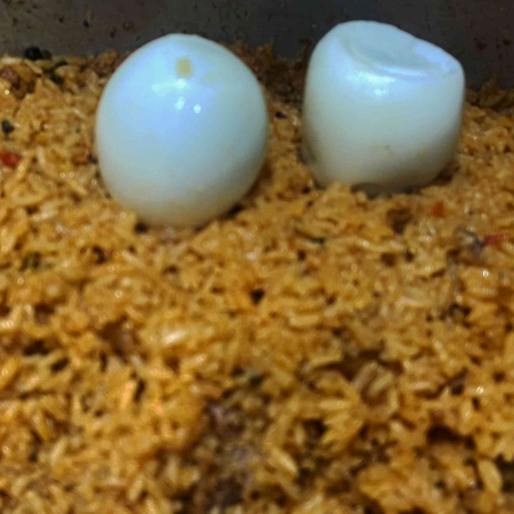 Experience the deliciousness of Egg Biryani with Seeraga Samba rice, featuring perfectly boiled eggs, fragrant rice, and a medley of aromatic spices for an authentic and flavorful culinary delight